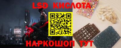 прущие грибы Кулебаки