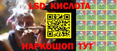 прущие грибы Кулебаки
