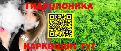 PSILOCYBIN Кунгур