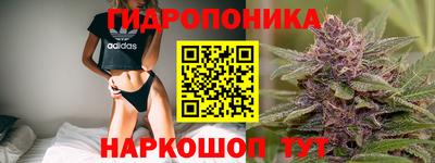 прущие грибы Кулебаки