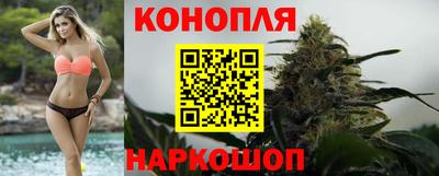 PSILOCYBIN Кунгур